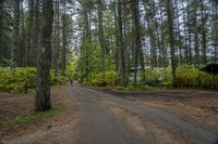 an empty dirt road surrounded by trees and woods with old buses parked in the background