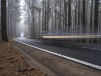 a speeding car is seen through the trees on a foggy day near a roadway