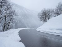 a wet road in the middle of snowy trees and mountains on one side and snow on the other