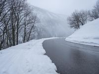 a wet road in the middle of snowy trees and mountains on one side and snow on the other