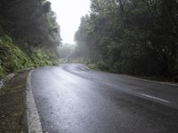 Wet Road Surface in Tenerife Gloom