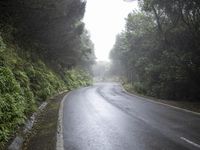 Wet Road Surface in Tenerife Gloom