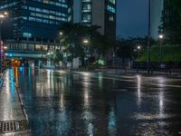 Wet Street in Tokyo's Business District