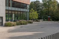 a white dog is walking down the concrete pathway towards a building with glass windows and trees