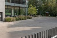 a white dog is walking down the concrete pathway towards a building with glass windows and trees