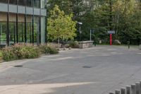 a white dog is walking down the concrete pathway towards a building with glass windows and trees