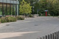 a white dog is walking down the concrete pathway towards a building with glass windows and trees