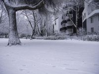 White Window and Twig in Natural Landscape