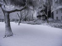 White Window and Twig in Natural Landscape