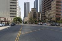 city street in a wide urban area surrounded by tall buildings and trees with traffic passing on the road