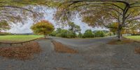 a panorama of a small, wide open street with lots of trees and leaves surrounding it