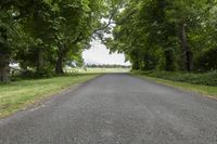 a wide road with some trees on both sides and lots of grass between the two roads