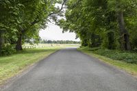 a wide road with some trees on both sides and lots of grass between the two roads