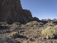 Wild Mountain Landscape in Tenerife, Europe