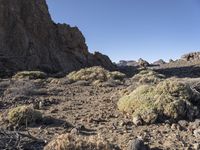 Wild Mountain Landscape in Tenerife, Europe