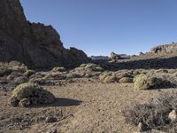 Wild Mountain Landscape in Tenerife, Europe