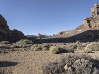 Wild Mountain Landscape in Tenerife, Europe