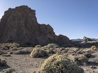 Wild Mountain Landscape in Tenerife, Europe