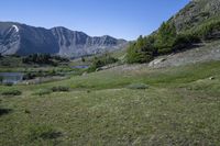 Exploring the Wilderness of the Colorado Alps