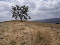 A Day in the Wilderness: Off-Roading on a Grass Surface Track