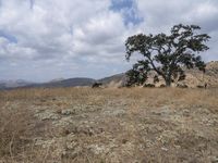 Wilderness Exploration in California: The Boundless Open Space