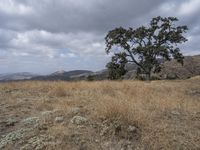 Wilderness Exploration in California: The Boundless Open Space