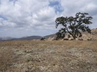 Wilderness Exploration in California: The Boundless Open Space