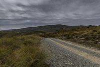 Exploring the Wilderness: Gravel Road in the South Island