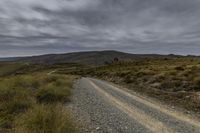 Exploring the Wilderness: Gravel Road in the South Island