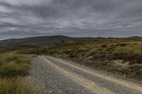 Exploring the Wilderness: Gravel Road in the South Island