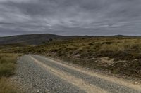 Exploring the Wilderness: Gravel Road in the South Island