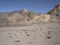 Wilderness Landscape in the Mountains of Tenerife