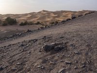 a truck on a dirt road in the desert with rocks and stones on the ground