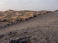 a truck on a dirt road in the desert with rocks and stones on the ground