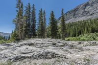 Wilderness: A Mountain Range with Forest