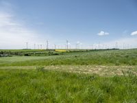 wind turbines in a large green field with long grass on the side and blue sky in the back