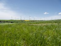 wind turbines in a large green field with long grass on the side and blue sky in the back