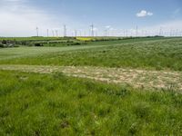 wind turbines in a large green field with long grass on the side and blue sky in the back