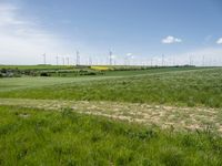 wind turbines in a large green field with long grass on the side and blue sky in the back