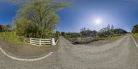 this fish eye mirror shows a winding road with no cars to go through it in a rural setting