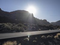 Winding Road Through Tenerife Mountain Scenery 001