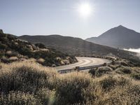 an empty winding road with no cars on it near a hill side with grassy bushes