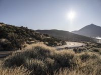 an empty winding road with no cars on it near a hill side with grassy bushes