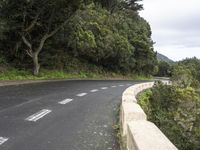 there is a view down a winding road next to some trees and plants as if looking very steep