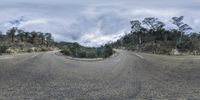 an upside down view of some very winding road side by side with trees on both sides