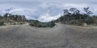 an upside down view of some very winding road side by side with trees on both sides