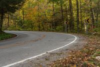 a winding road through the woods during the day with many leaves on the ground and signs for different lanes