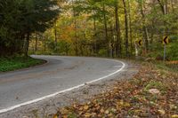 a winding road through the woods during the day with many leaves on the ground and signs for different lanes