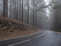 a wet road is winding up to the top of a steep hill next to a wooded area