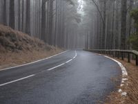 a wet road is winding up to the top of a steep hill next to a wooded area